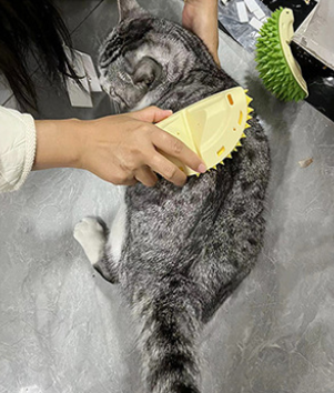 Durian Cat Self-Grooming Scratcher – Wall-Mounted Multi-Function Massage & Fur Cleaning Tool