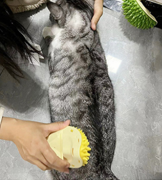 Durian Cat Self-Grooming Scratcher – Wall-Mounted Multi-Function Massage & Fur Cleaning Tool