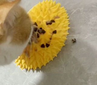 Durian Cat Self-Grooming Scratcher – Wall-Mounted Multi-Function Massage & Fur Cleaning Tool