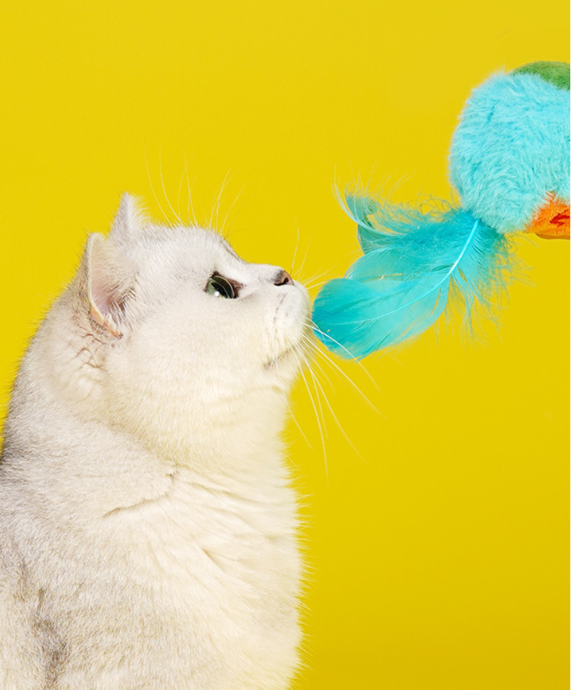 Zeze Chirping Bird Cat Toy – Interactive Catnip Plush Toy for Cats, Self-Play & Teeth Stimulation