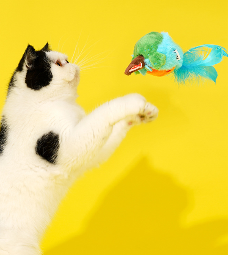 Zeze Chirping Bird Cat Toy – Interactive Catnip Plush Toy for Cats, Self-Play & Teeth Stimulation