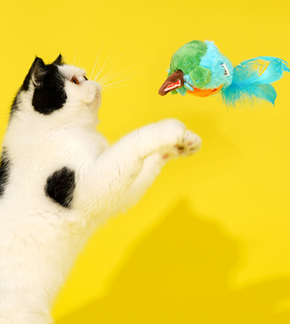 Zeze Chirping Bird Cat Toy – Interactive Catnip Plush Toy for Cats, Self-Play & Teeth Stimulation
