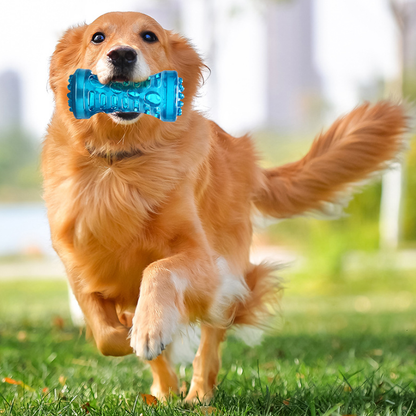 Durable TPR Dog Chew Toy with Sound – Interactive Pet Bone for Teeth Cleaning & Stress Relief