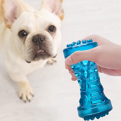 Durable TPR Dog Chew Toy with Sound – Interactive Pet Bone for Teeth Cleaning & Stress Relief