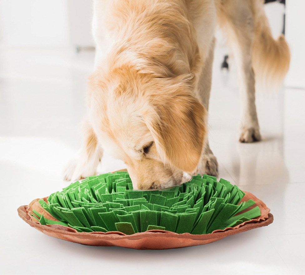 Pet Bowl Mat – Interactive Food-Dispensing Puzzle for Dogs & Cats, Anti-Choke & Slow Feeder Training Mat