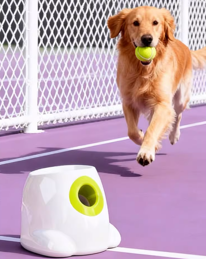 Automatic Dog Ball Launcher – Adjustable Distance & Timer, Interactive Pet Toy for Indoor & Outdoor Play