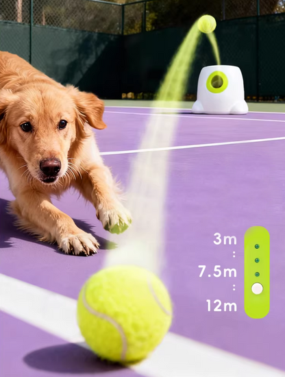 Automatic Dog Ball Launcher – Adjustable Distance & Timer, Interactive Pet Toy for Indoor & Outdoor Play