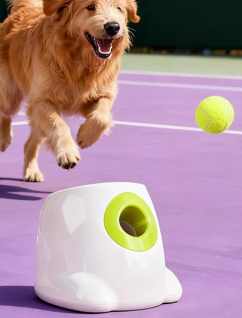 Automatic Dog Ball Launcher – Adjustable Distance & Timer, Interactive Pet Toy for Indoor & Outdoor Play